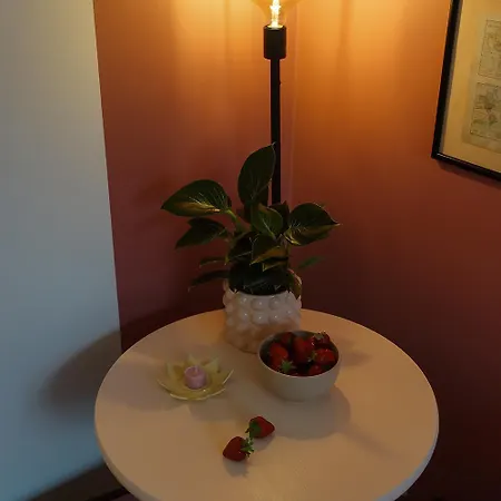 Pretty Little - Cozy In * ריגה